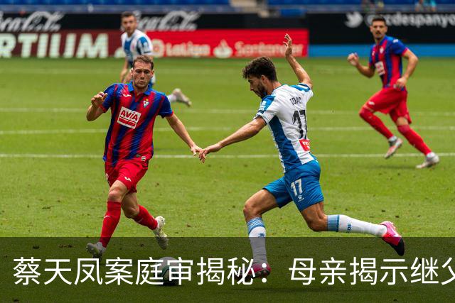 蔡天凤案庭审揭秘：母亲揭示继父债务，直指邝家不负责任